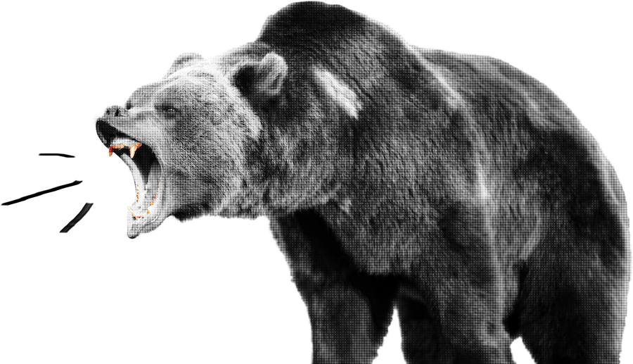 Ein Bär der brüllt